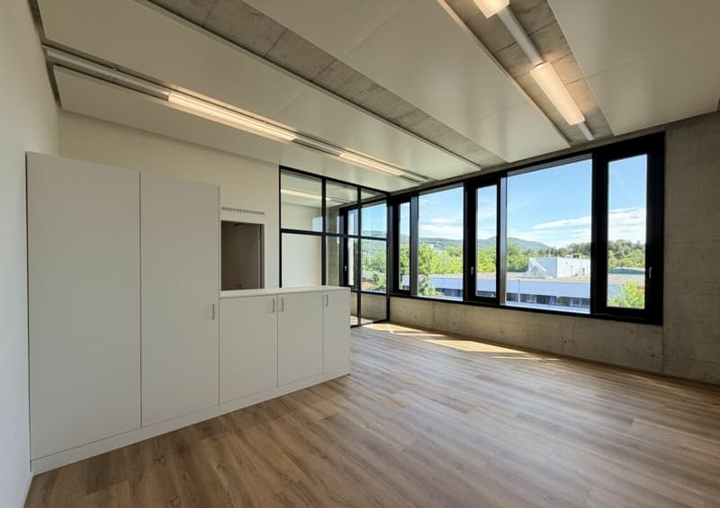 Büro/Gewerbe | Hang-Aar | 49 bis 66 m² (2)