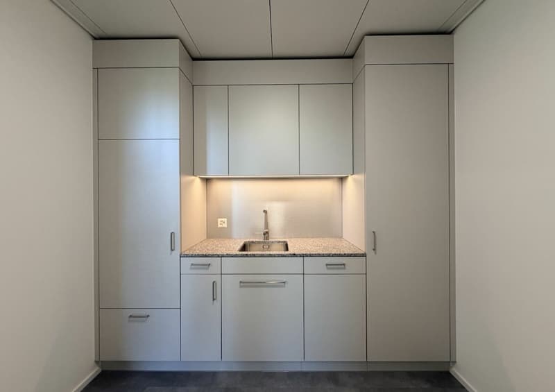 Büro/Gewerbe | Hang-Aar | 49 bis 66 m² (7)