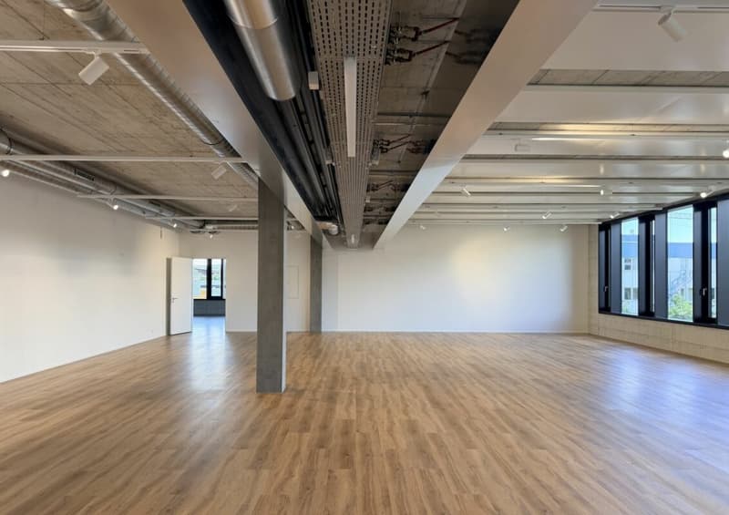 Büro/Gewerbe | Hang-Aar | 189 bis 271 m² (10)