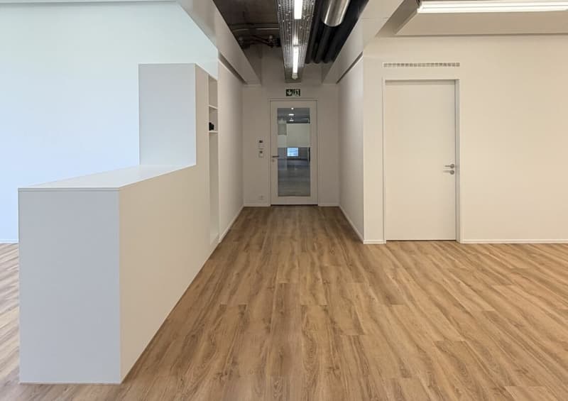 Büro/Gewerbe | Hang-Aar | 189 bis 271 m² (14)
