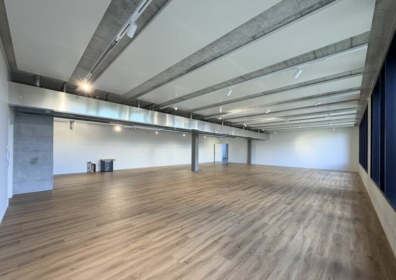 Büro/Gewerbe | Hang-Aar | 189 bis 271 m² (12)