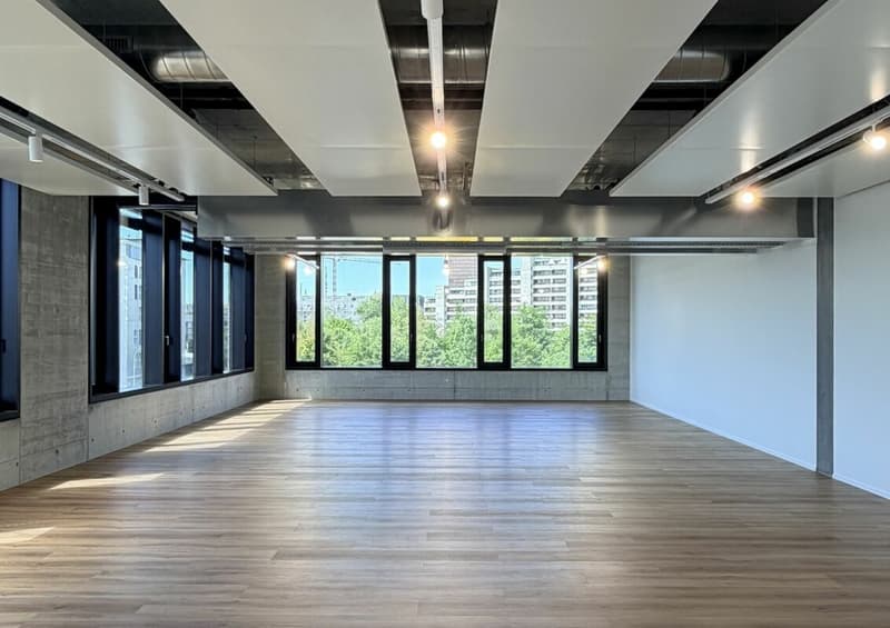 Büro/Gewerbe | Hang-Aar | 189 bis 271 m² (3)