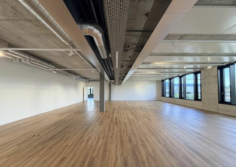 Büro/Gewerbe | Hang-Aar | 189 bis 271 m² (13)