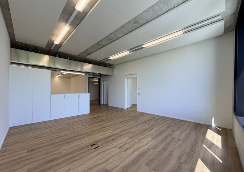 Büro/Gewerbe | Hang-Aar | 110 bis 131 m² (24)