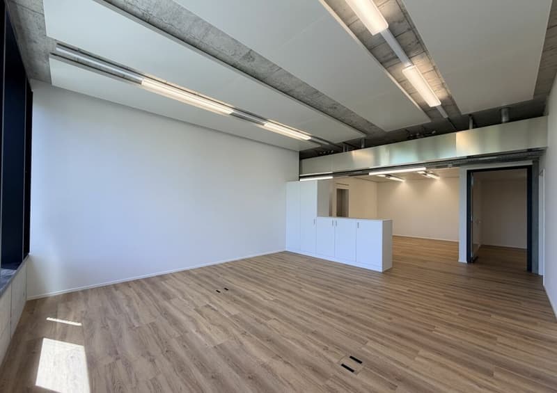 Büro/Gewerbe | Hang-Aar | 110 bis 131 m² (26)