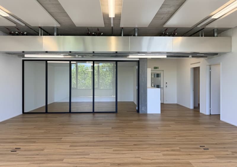 Büro/Gewerbe | Hang-Aar | 110 bis 131 m² (22)