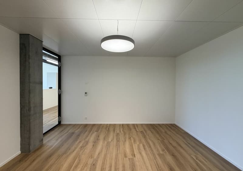Büro/Gewerbe | Hang-Aar | 110 bis 131 m² (9)