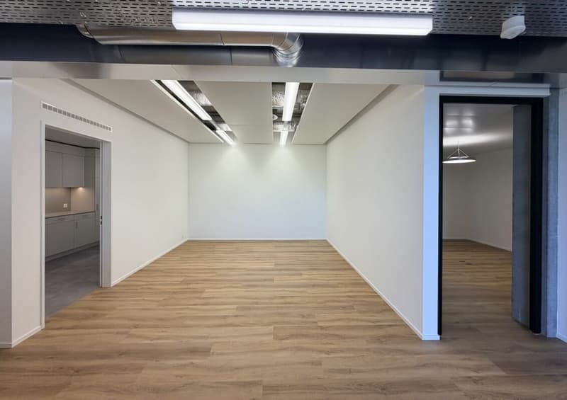 Büro/Gewerbe | Hang-Aar | 110 bis 131 m² (25)