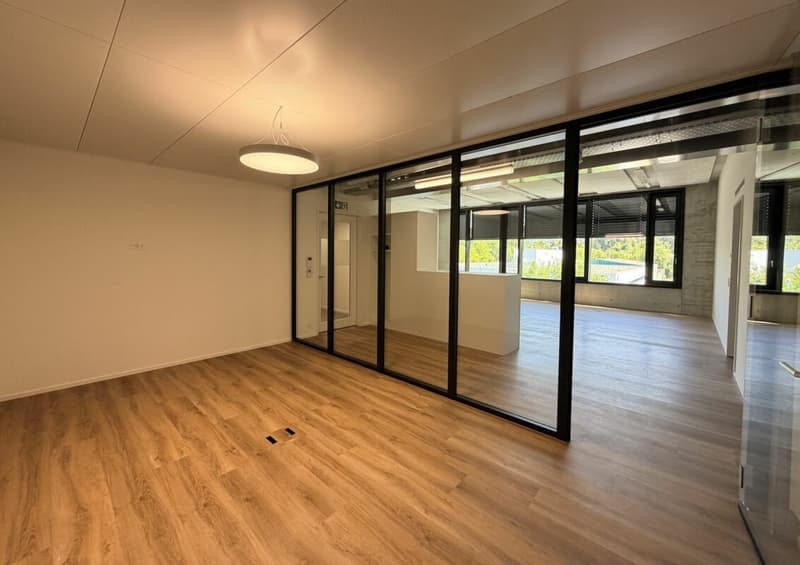 Büro/Gewerbe | Hang-Aar | 110 bis 131 m² (2)