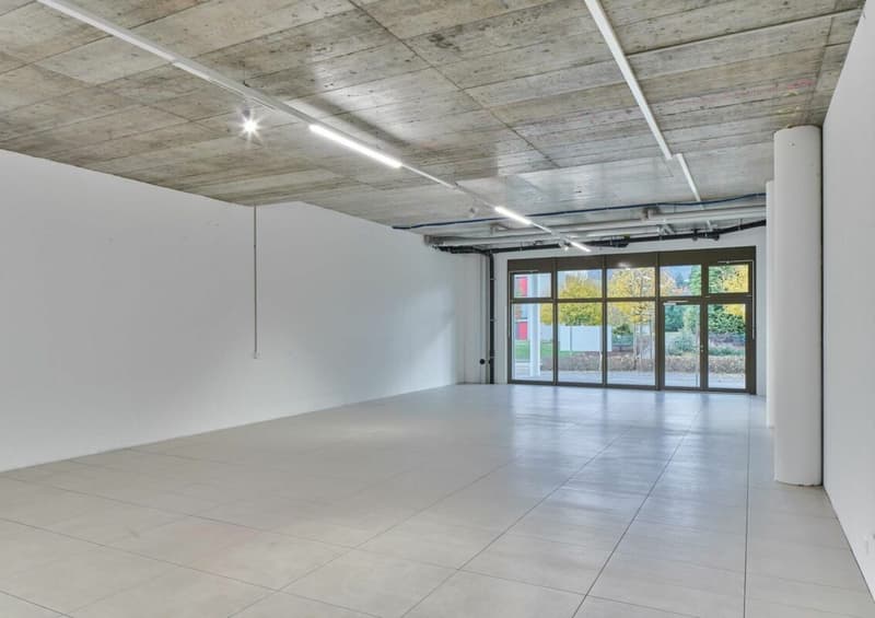 Gontenschwil Dorfstrasse  | 138 m² (2)