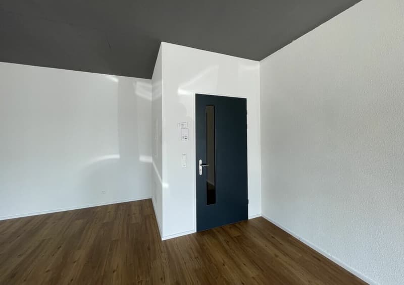 Auenpark Aarau Rohr | 78 m² (15)