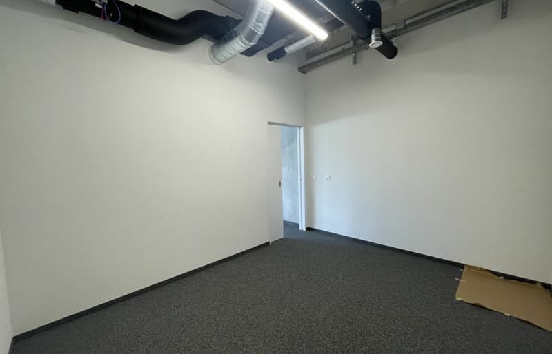 Quellmatten | Suhrenmattstrasse 29, Unterentfelden | 238 m² (12)