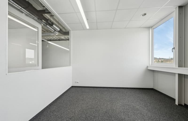 Quellmatten | Suhrenmattstrasse 29, Unterentfelden | 238 m² (6)
