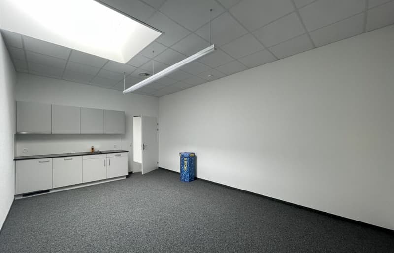 Quellmatten | Suhrenmattstrasse 29, Unterentfelden | 238 m² (16)