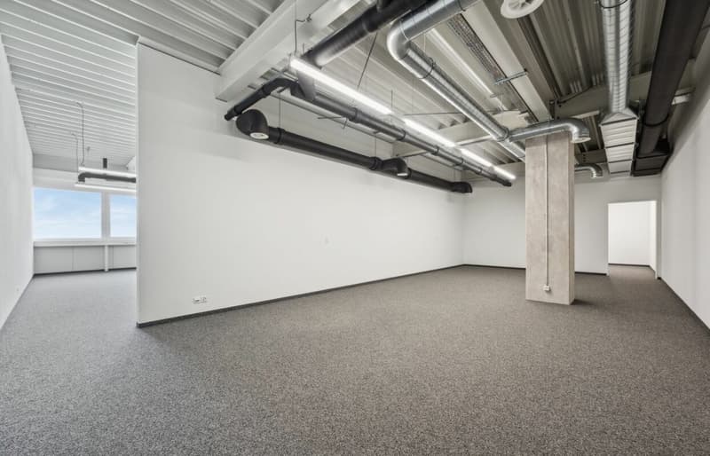 Quellmatten | Suhrenmattstrasse 29, Unterentfelden | 238 m² (10)