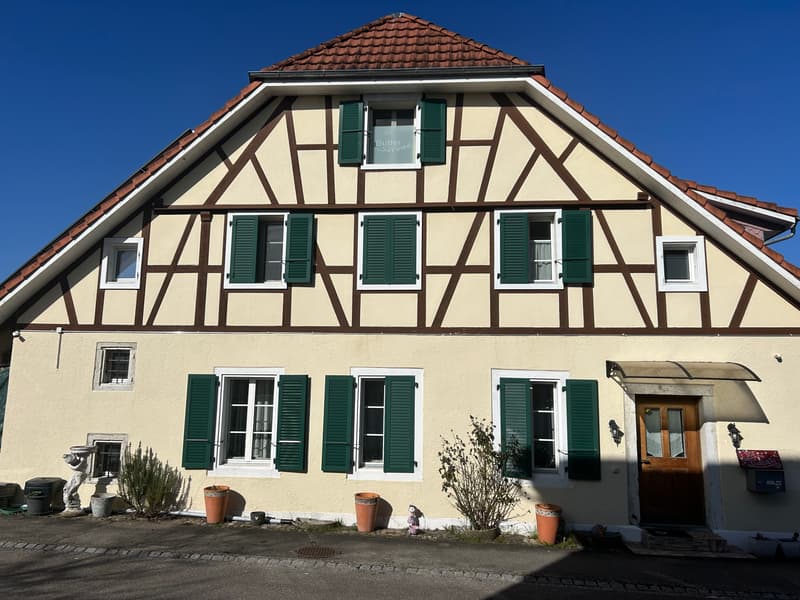 Maison d'angle avec charme de maison de campagne 4,5 pièces au milieu de Deitingen (3)