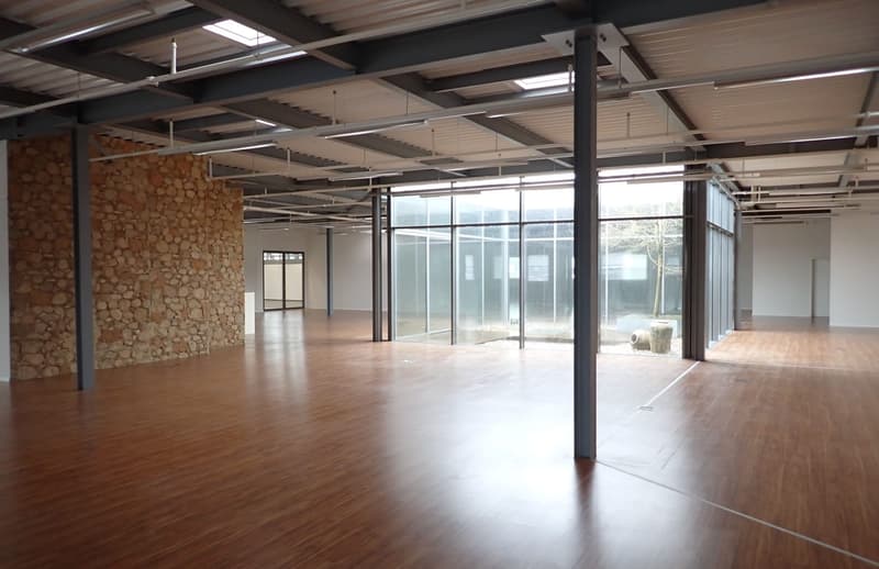Espace commercial ou de vente attractif avec grande façade vitrée - 1'089 m² dans un emplacement idéal! (7)