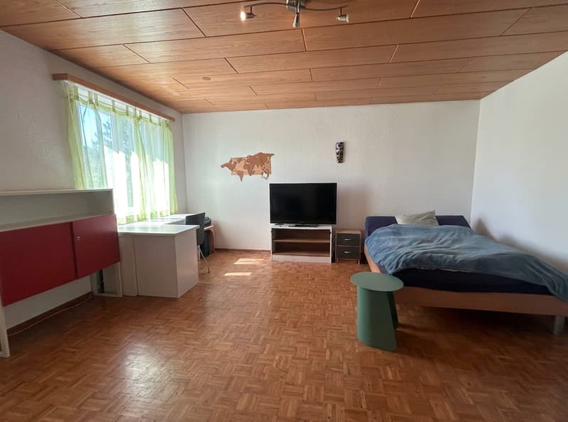 6.5-Zi.-EFH mit separater 1.5-Zi.-Einliegerwohnung | Gartenparadies & Weitsicht (12)