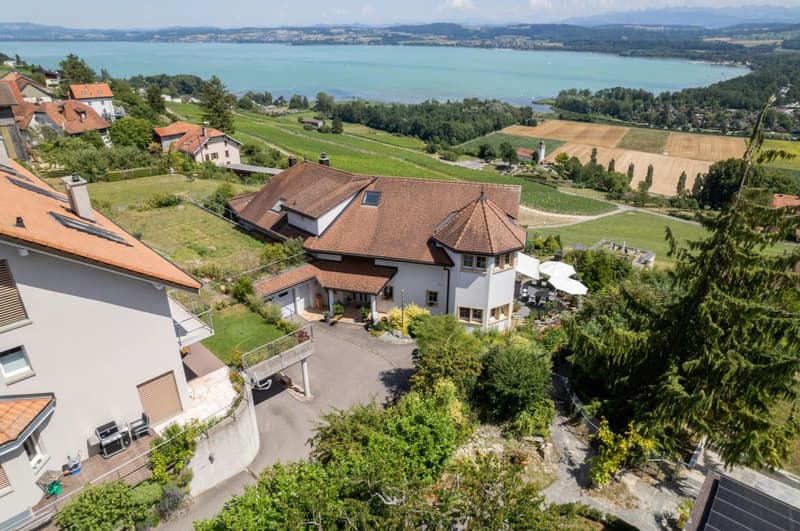 11-Zimmer-Villa mit Pool und Panoramaseesicht in Bellerive kaufen (9)