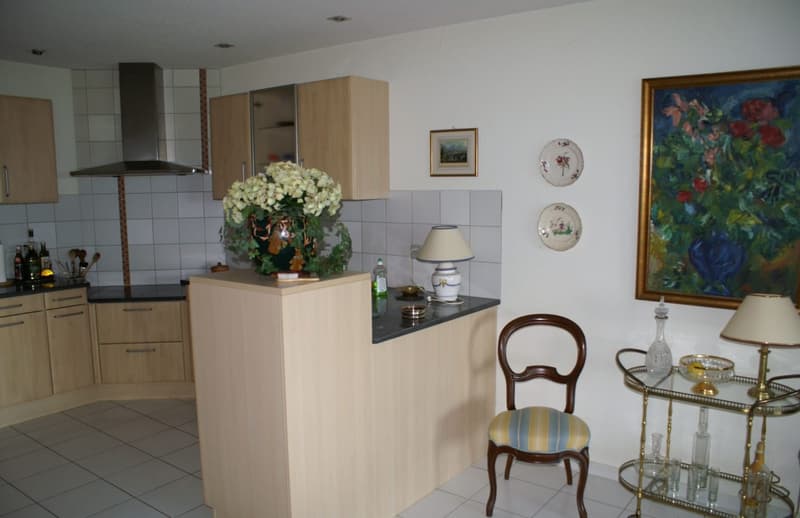3.5-Zimmer-Terrassenwohnung mit Seesicht in Bellerive kaufen (5)