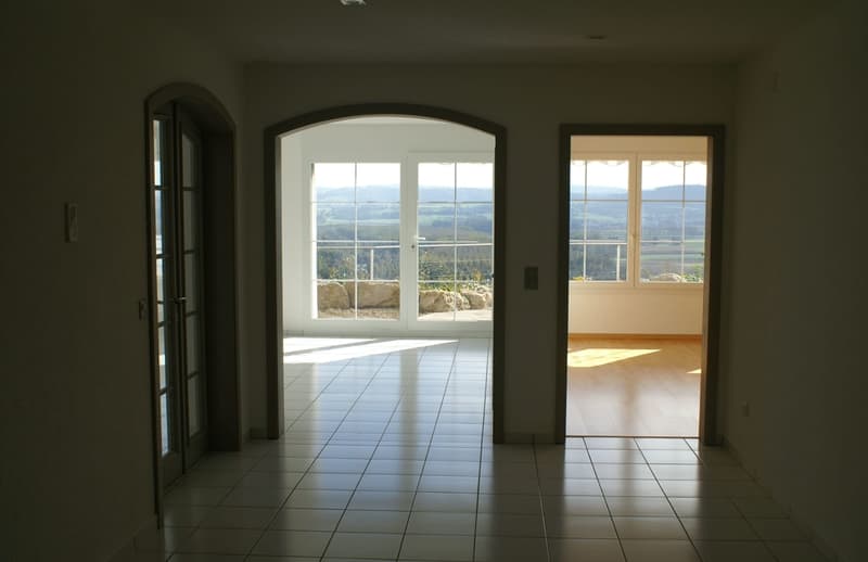 3.5-Zimmer-Terrassenwohnung mit Seesicht in Bellerive kaufen (6)