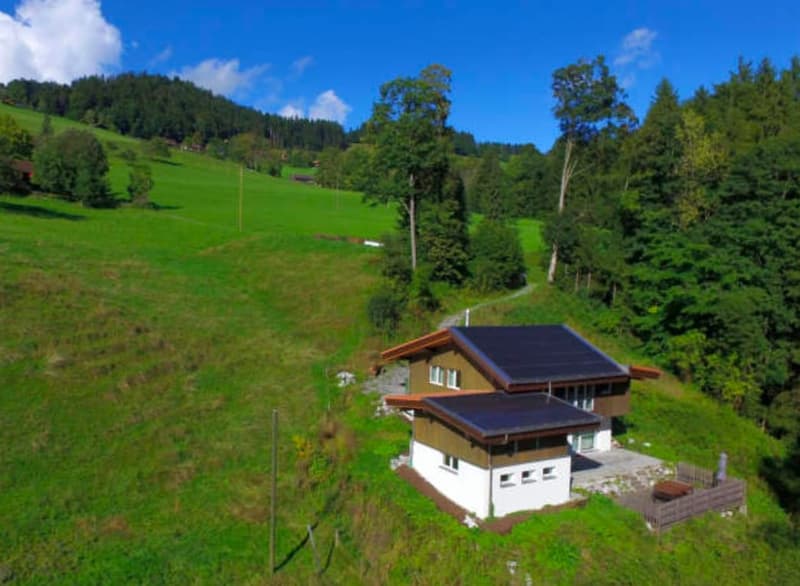 Exklusive Alleinlage mit grossem Umschwung in Goldiwil - sonnig & absolut privat (6)