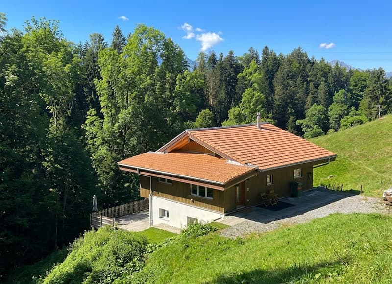 Exklusive Alleinlage mit grossem Umschwung in Goldiwil - sonnig & absolut privat (2)