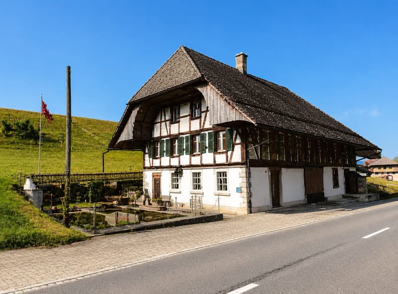 3-Zimmer Wohn- und Geschäftshaus mit Charme, Oeschenbach - kaufen (1)