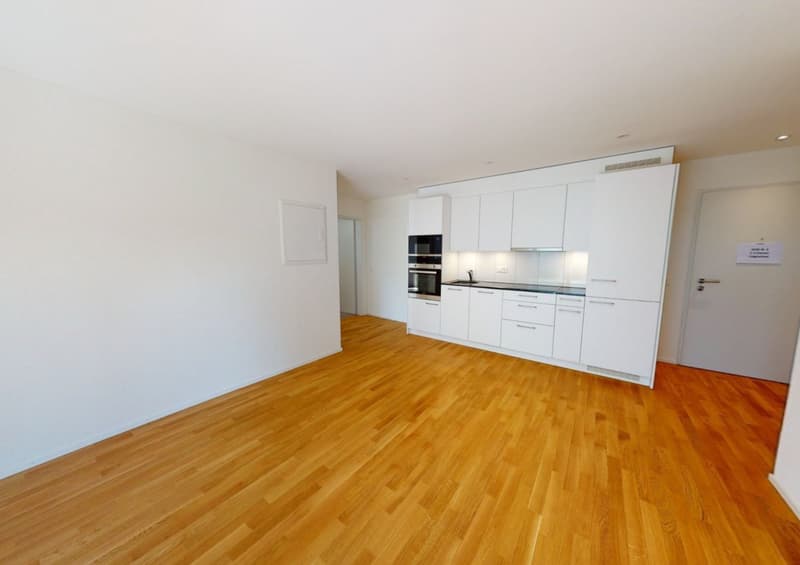 Exklusive 2.5-Zimmer-Attikawohnung mit 48 m² Sonnenterrasse – bezugsfrei ab 1. August 2026 (2)