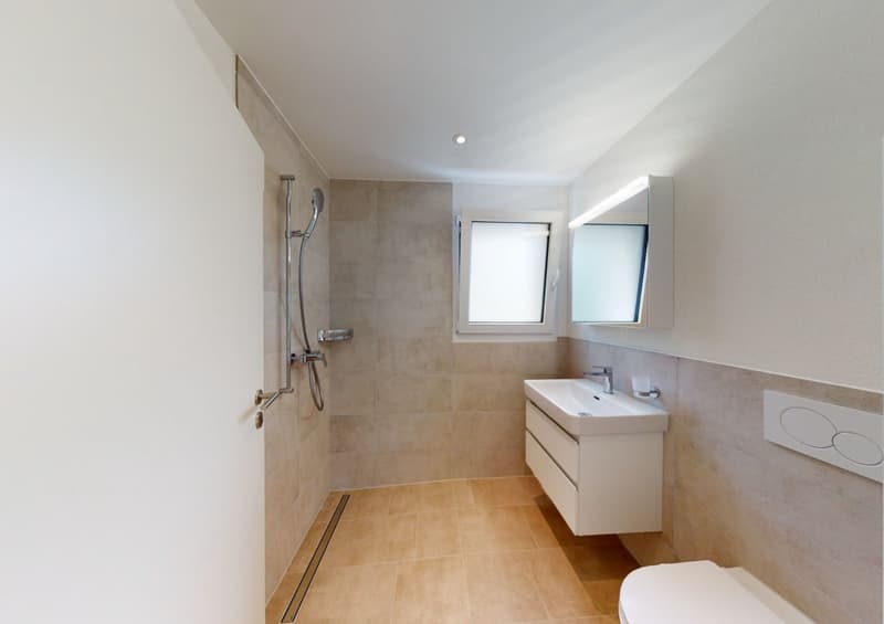 Exklusive 2.5-Zimmer-Attikawohnung mit 48 m² Sonnenterrasse – bezugsfrei ab 1. August 2026 (3)