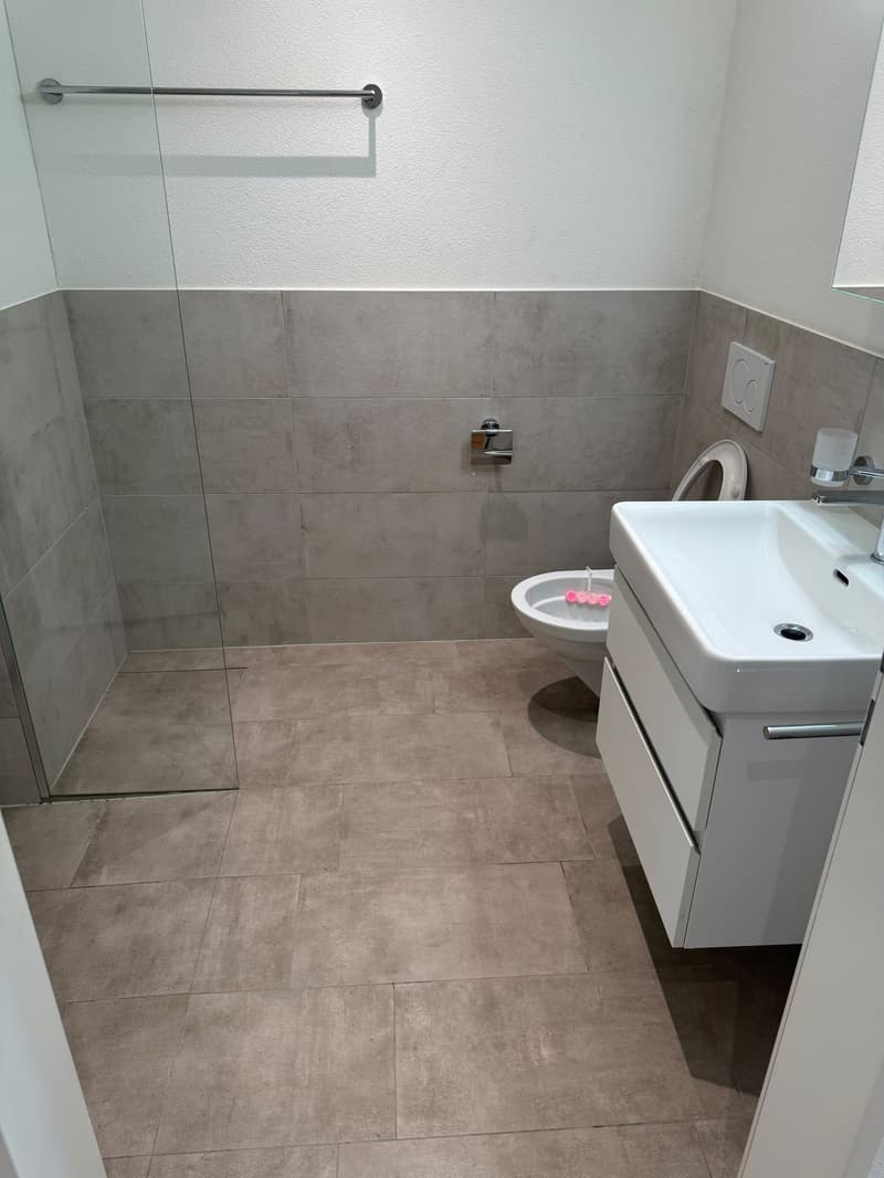 Moderne 1.5-Zimmer-Wohnung mit Balkon in Baden-Dättwil (6)
