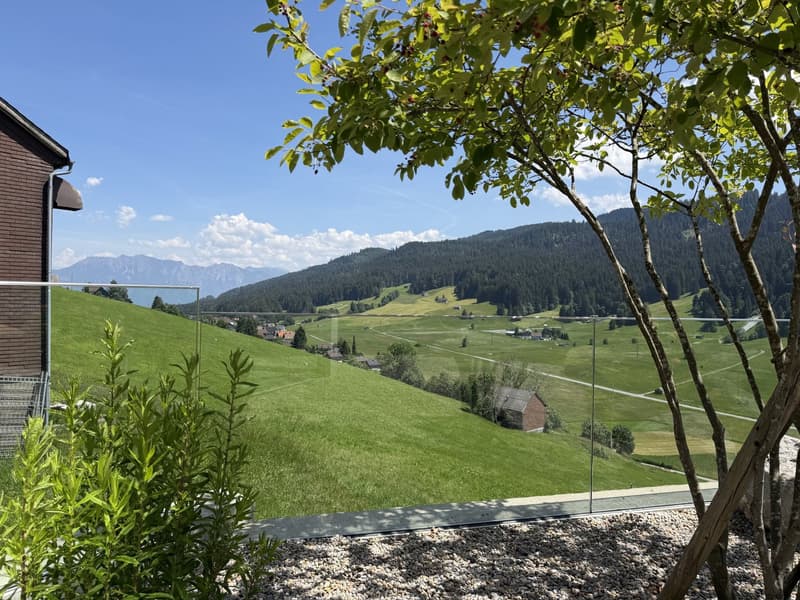 2.5 Zimmer Gartenwohnung (13)