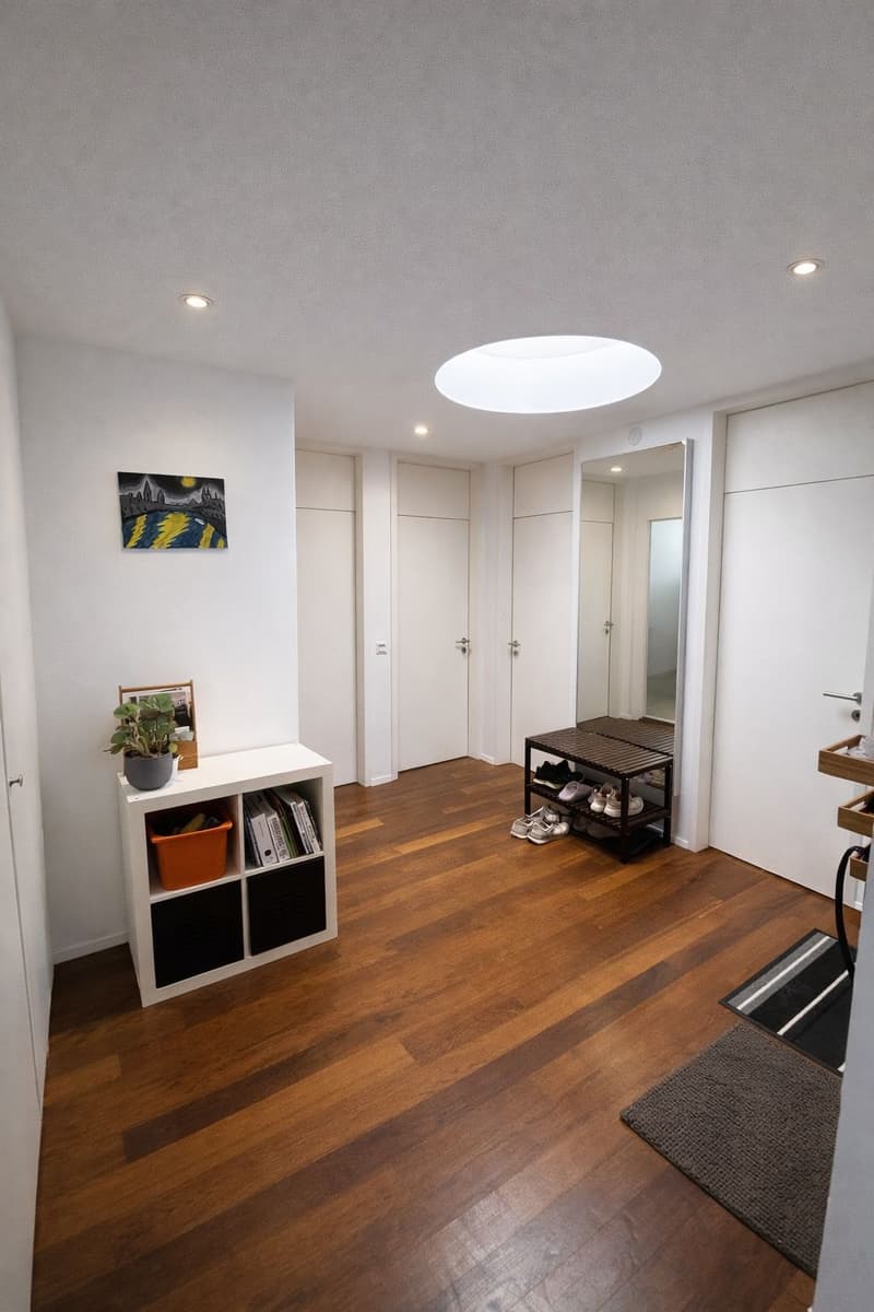 wooden floor, white walls, round ceiling light, white shelving unit with potted plant, mirror, shoe rack, rug
