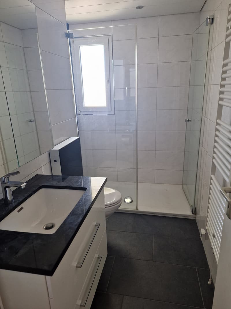 Helle 3.5-Zimmer-Wohnung mit Balkon und Tiefgaragenplatz (11)