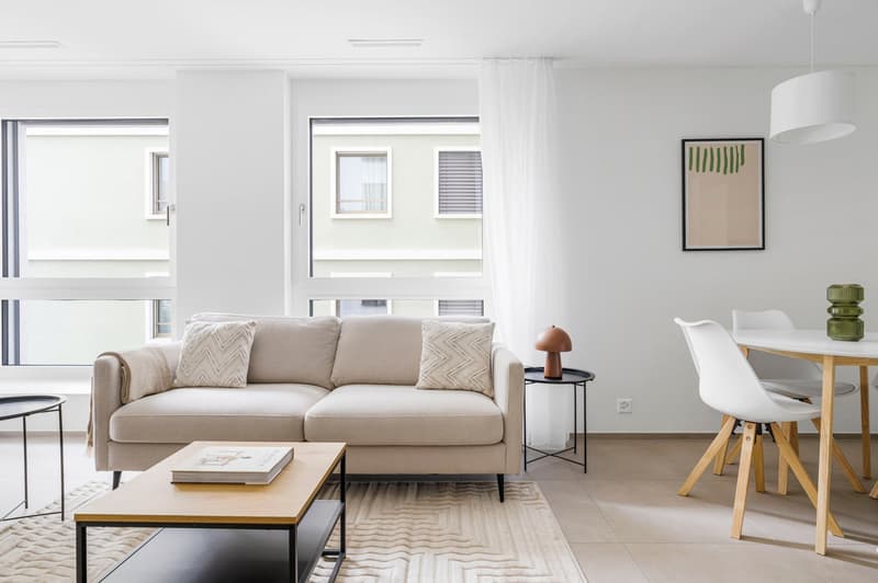 Modern 2-Room Apartment in Zürich's Vibrant District 5 (2)