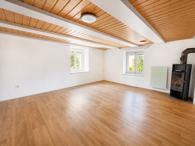 Einliegerwohnung: Wohnzimmer