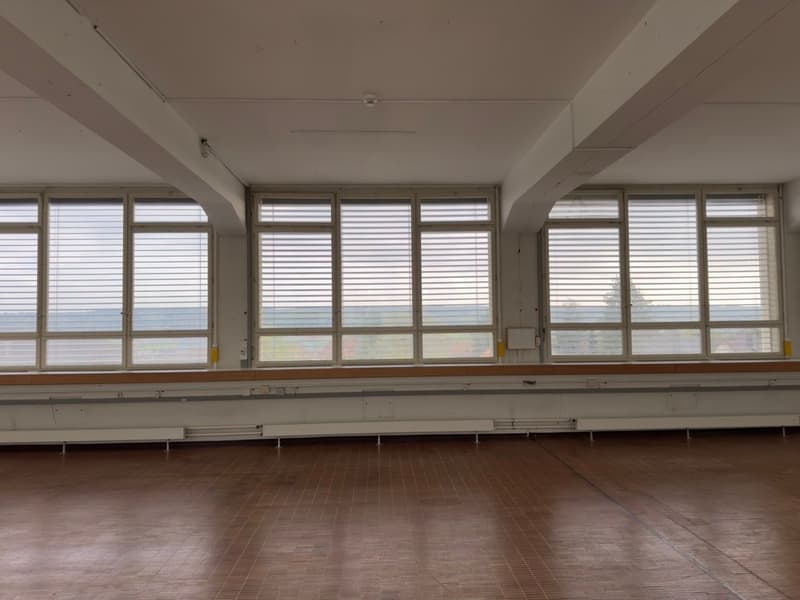 Spazio commerciale attraente in affitto a Solothurn (12)