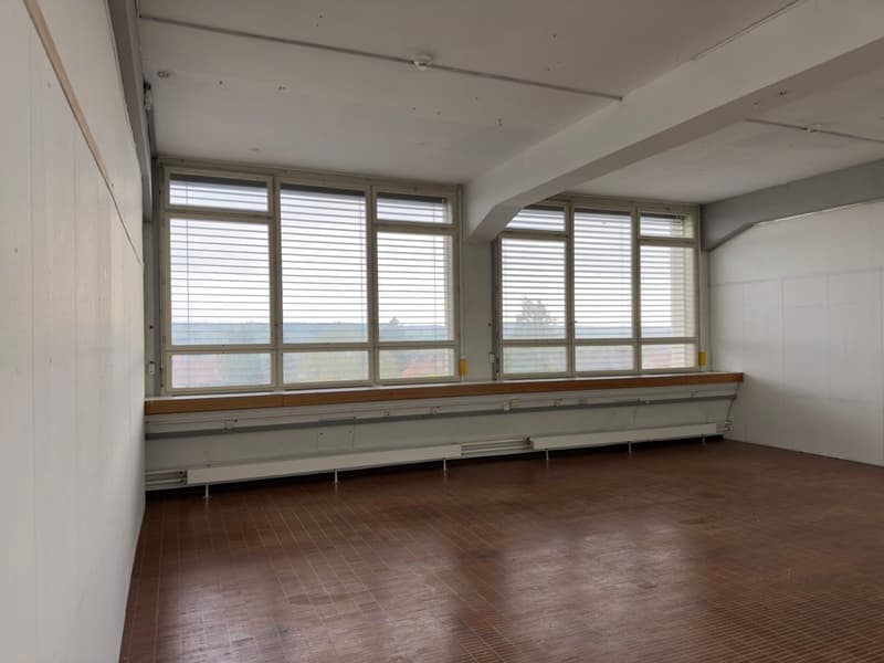 Spazio commerciale attraente in affitto a Solothurn (9)