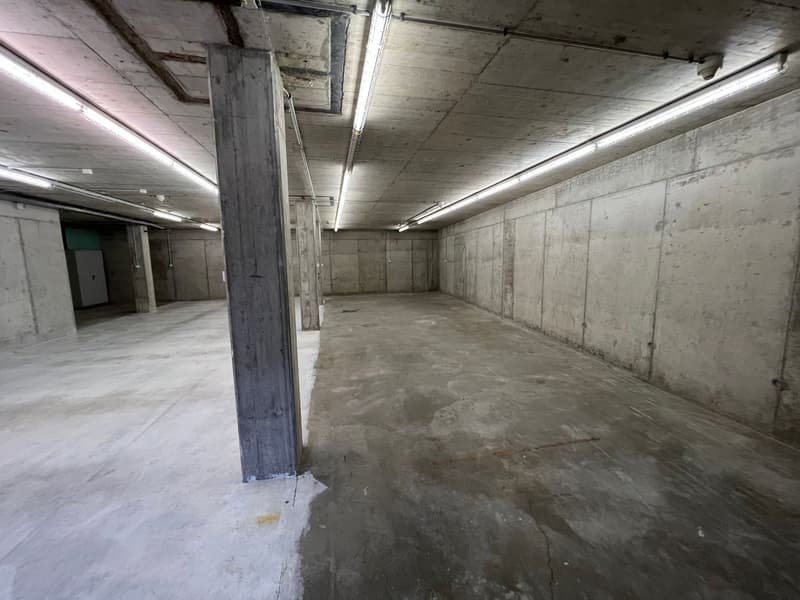 Espace de stockage à Niederhasli à des conditions attractives (6)
