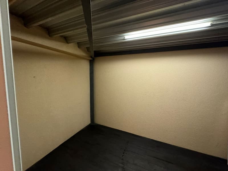 Spazio commerciale e di stoccaggio a Lausen a condizioni attraenti (7)