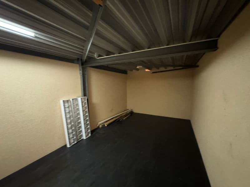 Spazio commerciale e di stoccaggio a Lausen a condizioni attraenti (5)