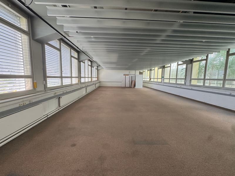 Commercial/ office space for rent in Solothurn (7)