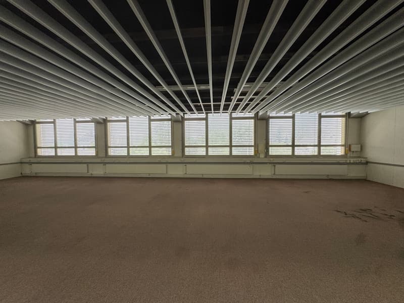 Commercial/ office space for rent in Solothurn (3)