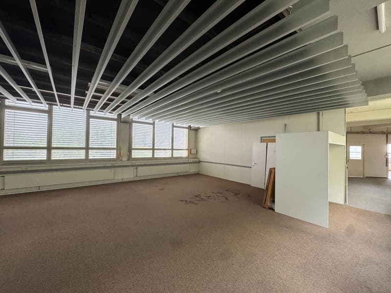 Commercial/ office space for rent in Solothurn (2)