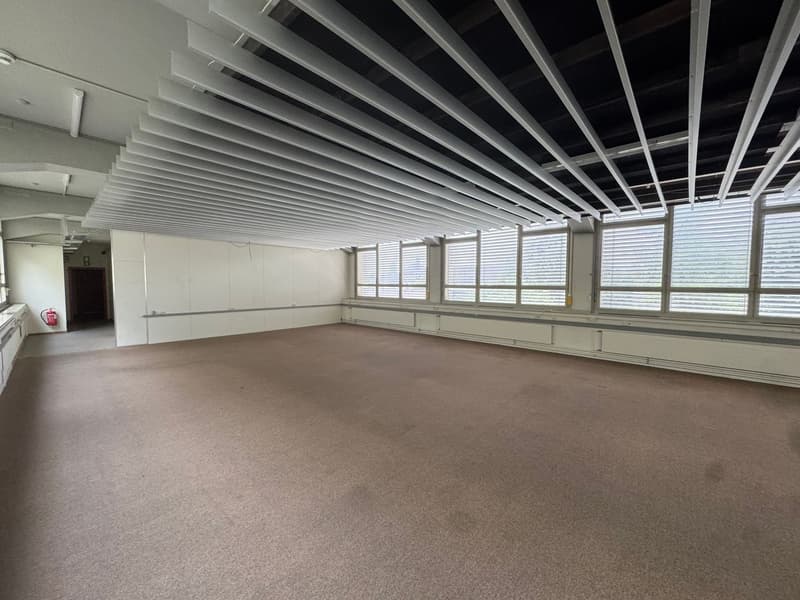 Commercial/ office space for rent in Solothurn (4)