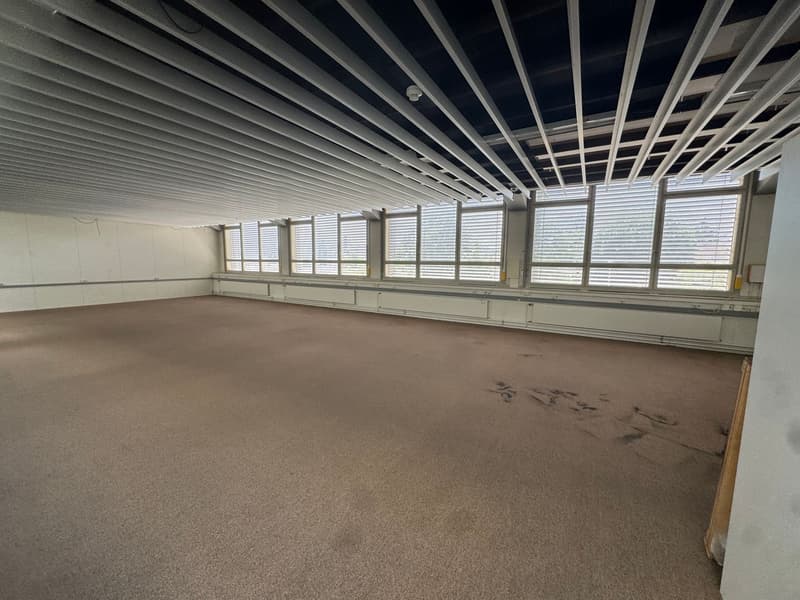 Commercial/ office space for rent in Solothurn (10)