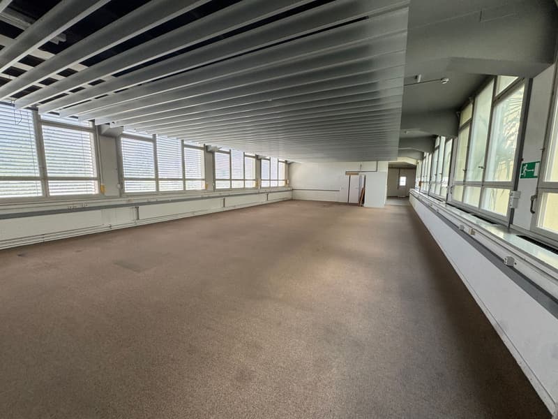 Commercial/ office space for rent in Solothurn (8)