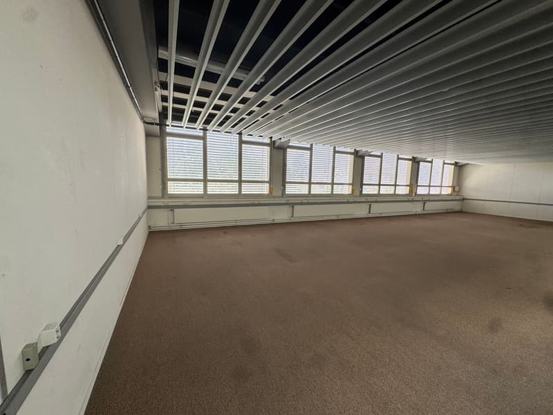 Commercial/ office space for rent in Solothurn (9)