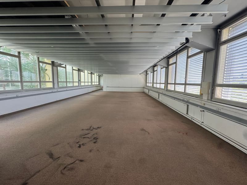 Commercial/ office space for rent in Solothurn (6)
