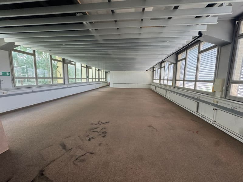 Commercial/ office space for rent in Solothurn (5)